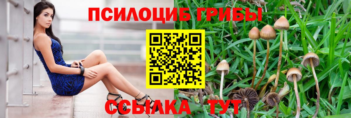 Ржев  Псилоцибиновые грибы ЛСД  Вход с VPN 